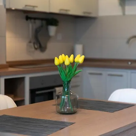 Apartament App Filippo & Kata